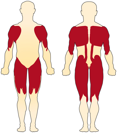 The muscles closer to the center of the body (proximal muscles) are usually more affected in SMA than are the muscles farther from the center (distal muscles).