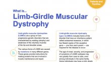 Fact sheet for Limb-girdle muscular dystrophies.