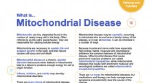 Fact sheet for Mitochondrial Myopathies.